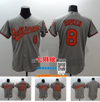 Quần áo bóng chày orioles RIPKEN 8 # MachADO 13 # 10 JONE áo mới - Thể thao sau bộ adidas nam