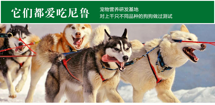 Niro tóc sáng 10kg chó Adult phổ Adult Tất cả các chủ sở hữu giống chó ngũ cốc lớn vẻ đẹp tóc miễn phí vận chuyển 20 pound hạt royal canin
