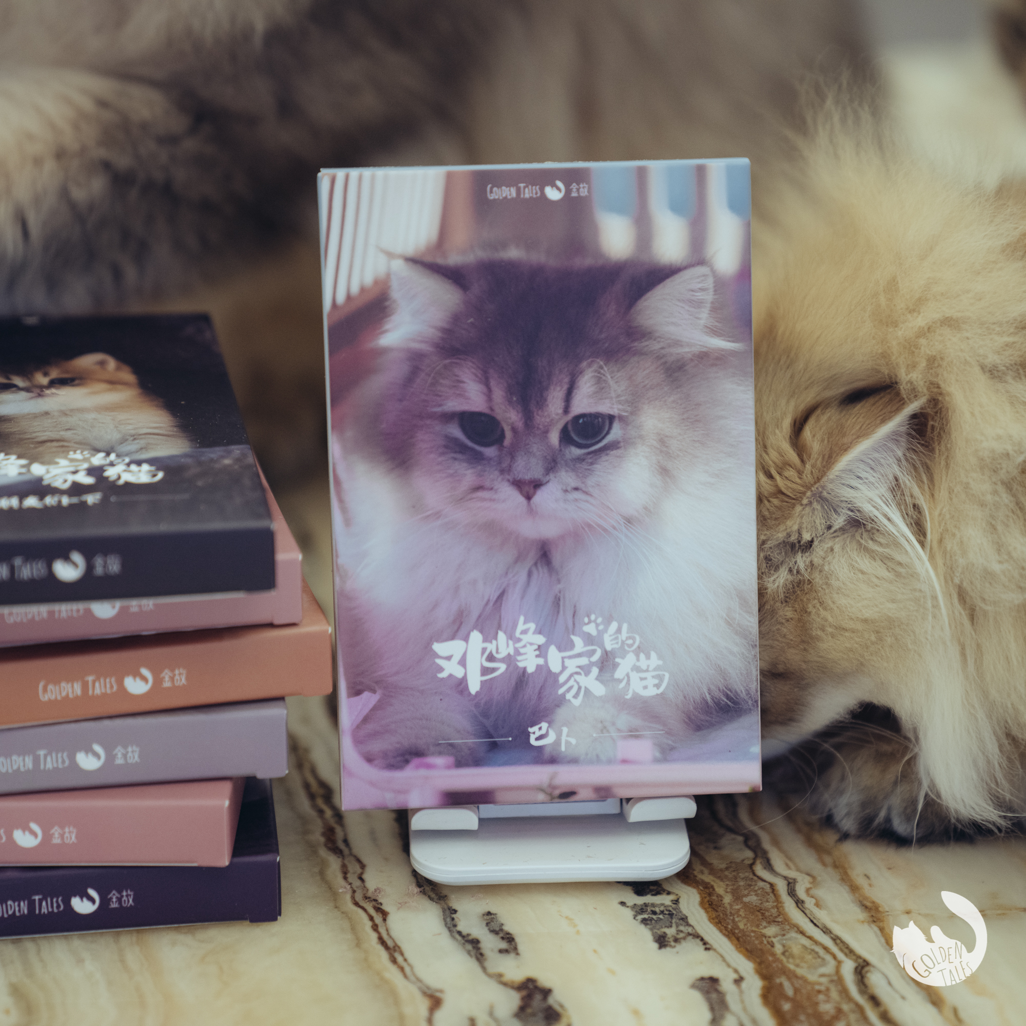 Cat Postcard 30 Cute Birthday Greeting Card Memorabilia for Golden Storybook Teng Feng's family's Birthday Card memorabilia with the same paragraph