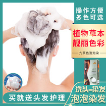 Natural black bubble hair dye female 2022 new pure cover white black brown plant foam dye hair at home