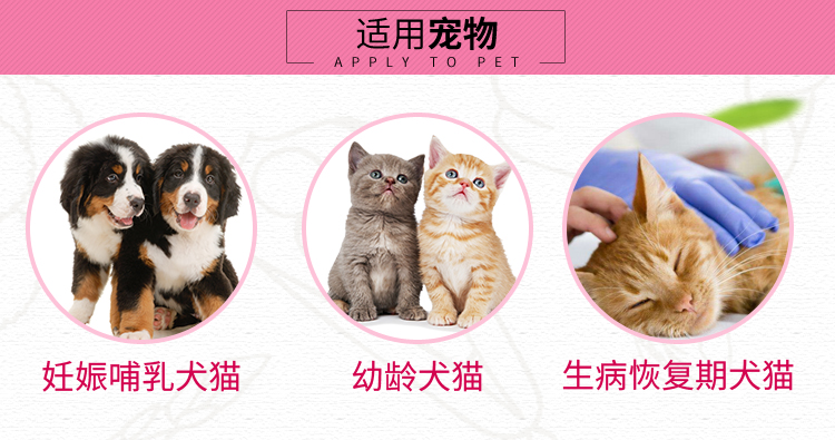 宠物 保健 Dijinmao chó mèo sơ sinh bú sữa mẹ đầy đủ dinh dưỡng sữa bột 268g Sữa cho chó con mất mẹ