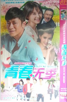 Prince Wen Lin Shin Yue Hong DVD disc