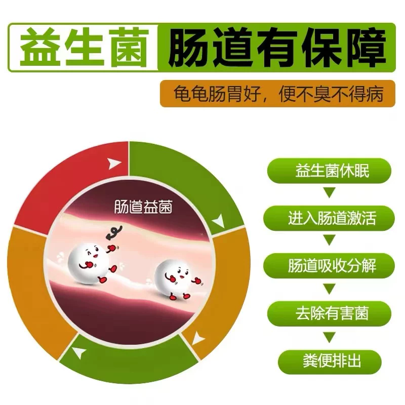 渔密码 Tropical fish feed small fish lantern family fish peacock fish increases color and high protein hexagonal dinosaur life