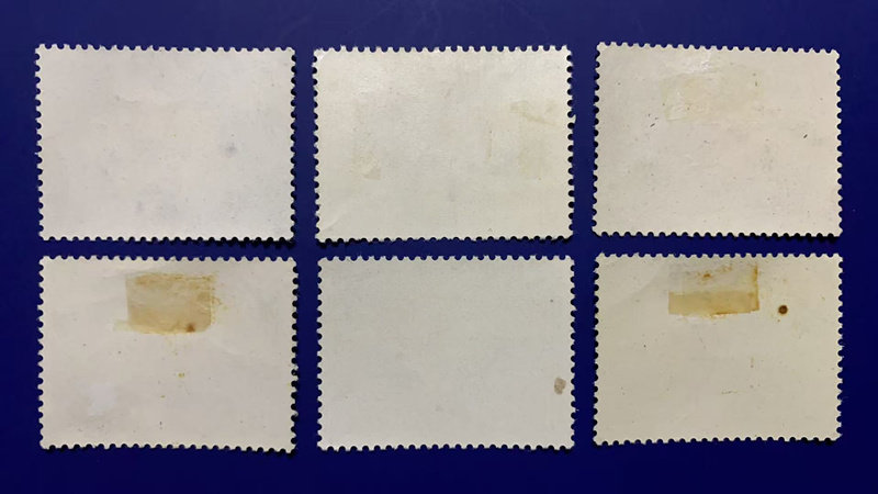 ͼƬ��������´��ڴ򿪲鿴