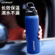 Car-Mounted Insulated Cup with Straw for Men, Health-Preserving Tea Cup, Outdoor Sports Water Bottle, Direct Drinking, High Aesthetic Value, Portable Cup for Students