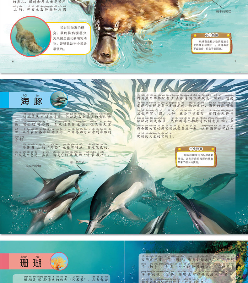 《动物小百科》儿童绘本注音版 全10册 图6