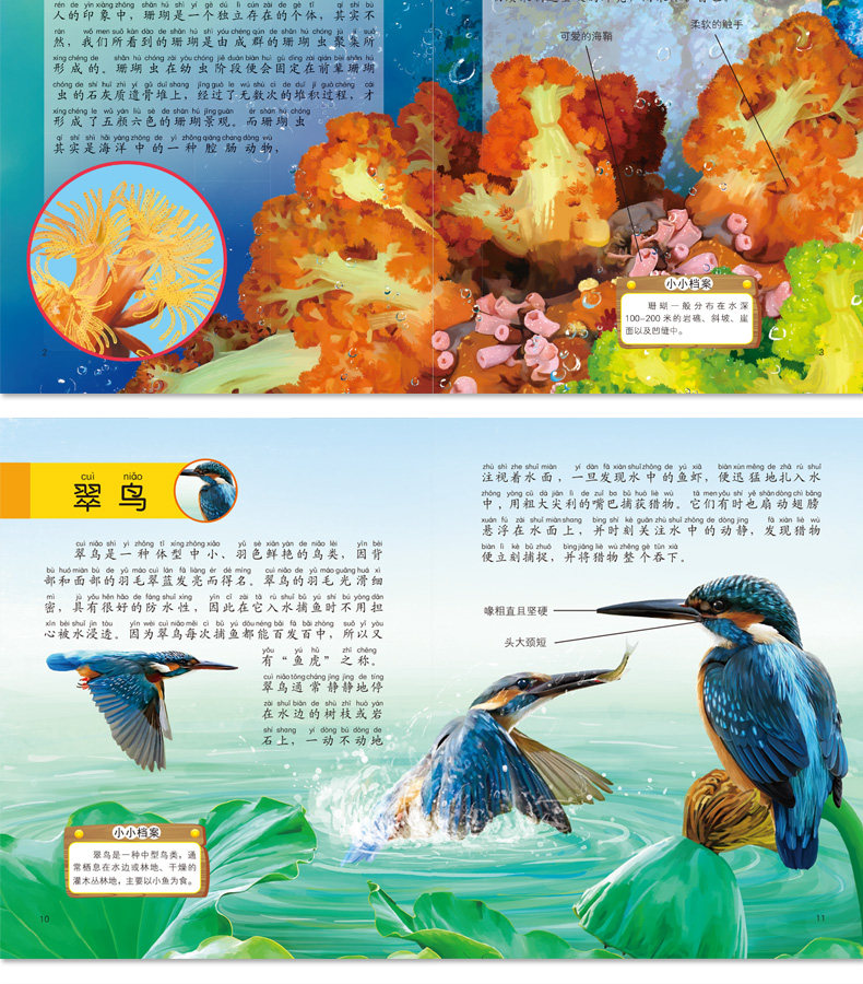 《动物小百科》儿童绘本注音版 全10册 图7