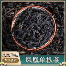 Phoenix Single-fir Tea Chaozhou Phoenix Single Bushes Single from Duck Poop Aroma Alpine U Dragon Authentic and Intense Aroma-style upscale