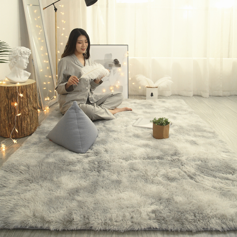 Carpet for Bedroom and Living Room 2026 New Model Bedside Plush Floor Mat Home Use Thickened Light Luxury High-End Washable Room Mat