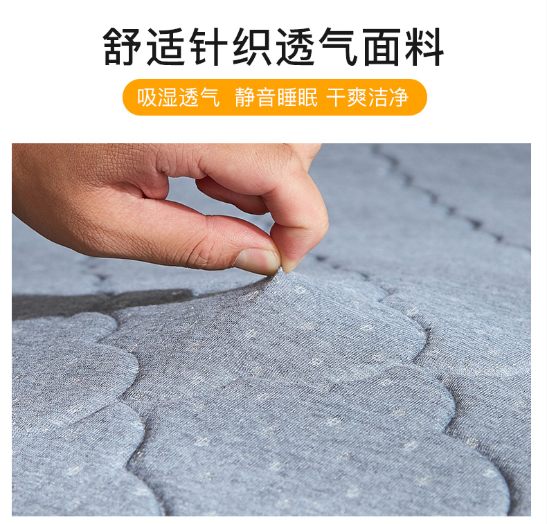 Bộ nhớ nhung ký túc xá sinh viên nhung Bắc cực 0,9 phòng ngủ đệm giường đơn 1,0 m nệm 90x190cm - Nệm nệm mỏng