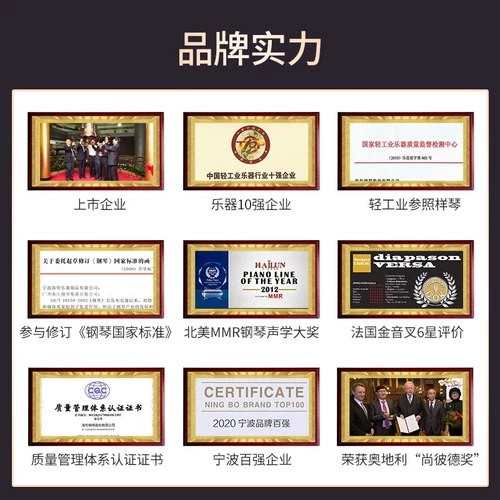 Hai Lun (Hai Lun) Wedlon W123 Домохозяйство вертикальное тест Профессиональный тест с твердым древесиной фортепиано