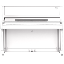 Hailun Piano Upright Solid Wood White Piano 120A Beginner Home Professional Exam Practice Piano