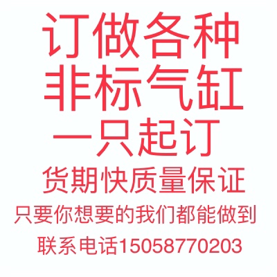 Set to do non-labeled cylinder samples Custom drawings Processing SDA MAL SC QGB MA304 Stainless Steel Force Cylinder-Taobao