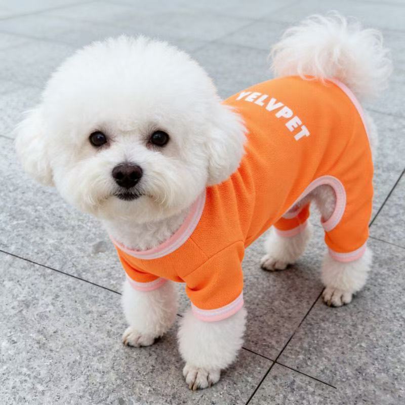Pet Four-Legged Spring and Summer Breathable Anti-Shedding Sun Protection Clothing for Dogs and Cats Teddy Bichon Pomeranian Schnauzer
