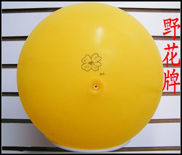 Ballon de volley-ball - Ref 2012026 Image 24