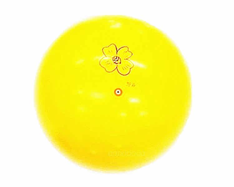 Ballon de volley-ball - Ref 2012026 Image 23