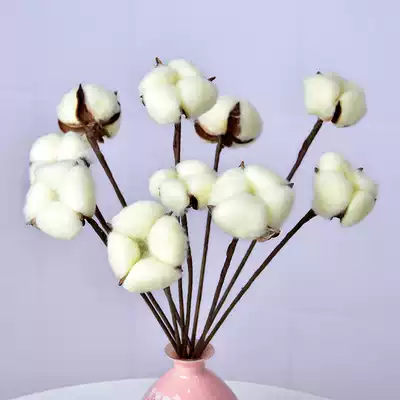 Hand-made cotton light luxury dry flower bouquet diy material Eternal Flower home decoration ornaments shooting props Nordic style