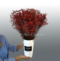 Love grass Red Crystal dried flower bouquet Yunnan straight hair diy material home living room decoration desktop small ornaments