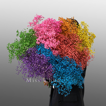 Stars dried flowers bouquet eternal light luxury home living room furnishings ins hipster Nordic wall decoration real