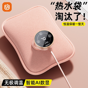 2025 New Model Hot Water Bottle, Rechargeable Style, Warm Water Bag for Menstrual Pain Relief, Explosion-Proof Small Hand Warmer for Women