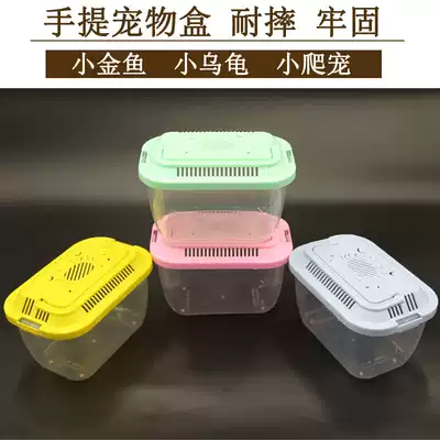 Stall-mounted small golden fish box small turtle plastic children's portable small fish tank climbing pet box transparent small fish tank household