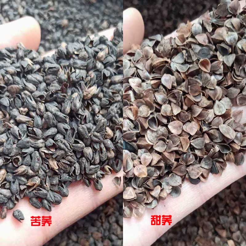 Em bé gối lõi học sinh 30x50 40 * 60 kiều mạch vỏ kiều mạch gối đơn cổ gối bông hai lớp - Gối gối cao su