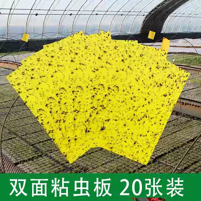 Yellow plate double-sided sticky insect plate trap blue plate greenhouse Orchard thrips insect paper fruit fly trap small flying insect needle Bee