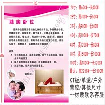 Knee-chest lying wall stickers to correct pregnant women fetal posture stickers maternal health wall chart promotional posters decorative paintings