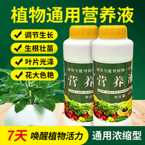Horticultural Versatile Nutrient Solution Orchid View Flowering Plant Exclusive Liquid Fertilizer Granular Organic Fertilizer Soil 500ml