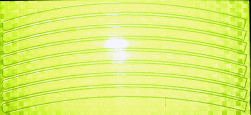 Décoration pour vélo - Ref 2283740 Image 13