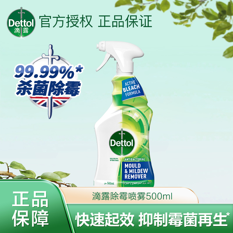 Dettol Mold and Bacteria Removal Spray for Mold Stains, Mold Prevention, Wall Gap Mold Remover, and Rubber Ring Cleaner