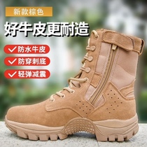 Jihua genuine brown combat training boots outdoor training anti-puncture high-top mountaineering wear-resistant desert carbon plate toe boots