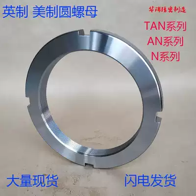 Imperial American round nut TAN AN N 05 06 08-20 American Nut Spot