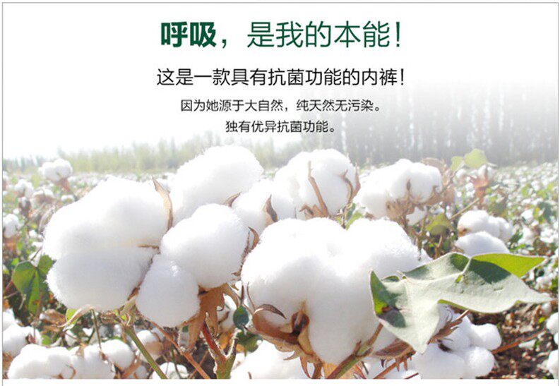 Slip doux en coton - Ref 644194 Image 25