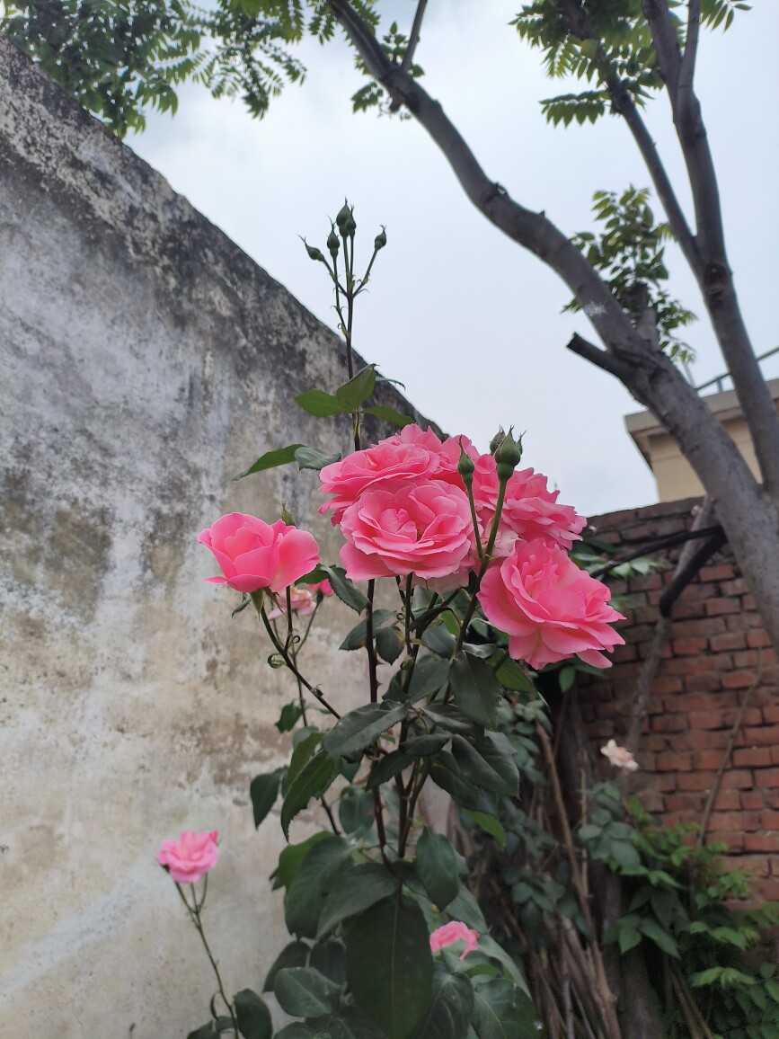 暖阳启航