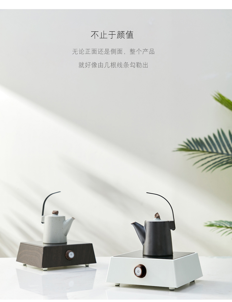 Coarse clay POTS hot pot boiling kettle blisters electric teapot TaoLu mini kung fu tea tea stove electric furnace