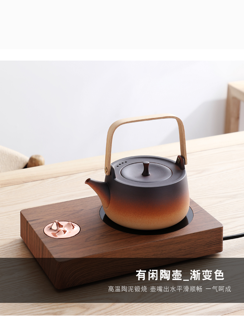 Hot pot of water jug kettle boiling kettle pot kung fu tea electric TaoLu permeating view mountain tea stove