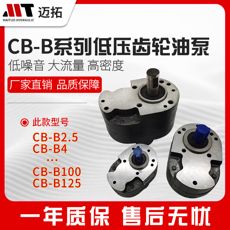 CB-B6/B4/B16/B20/B25/B32/B40/B50/B63/B80/B100/B125 передача Насос