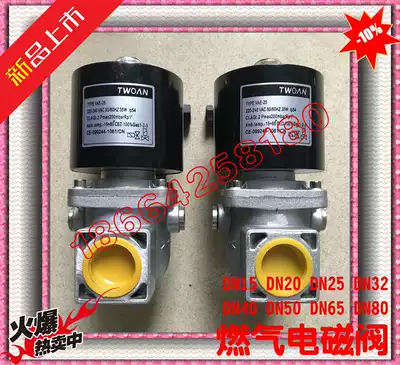 Domestic gas solenoid valve VAE15 VAE20 VAE32 VAE40 50 65 80 100