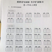 Part of the new teaching version of the second grade book Chinese look at the pinyin write words (with answers)Homework book Homework book