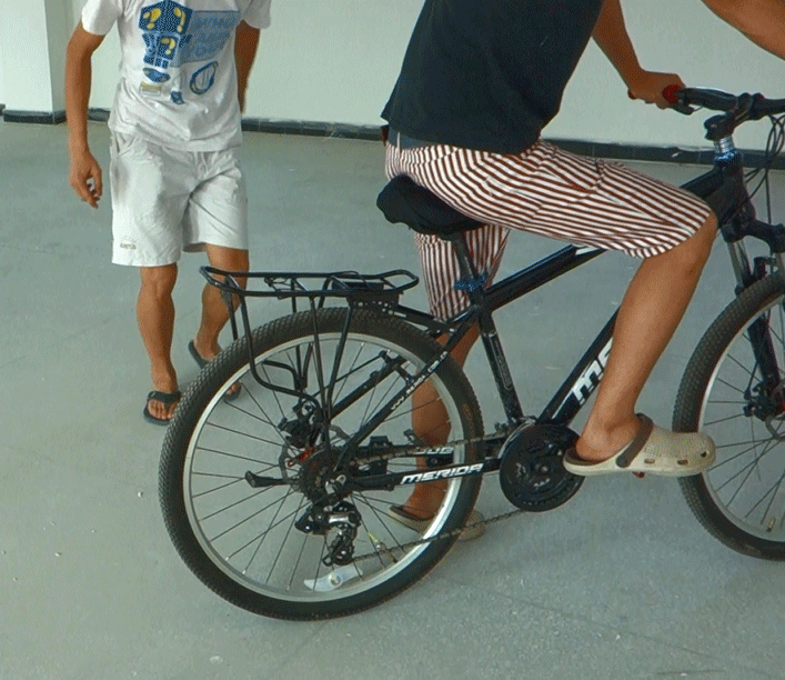 Porte-bagages pour vélo - Ref 2412560 Image 31