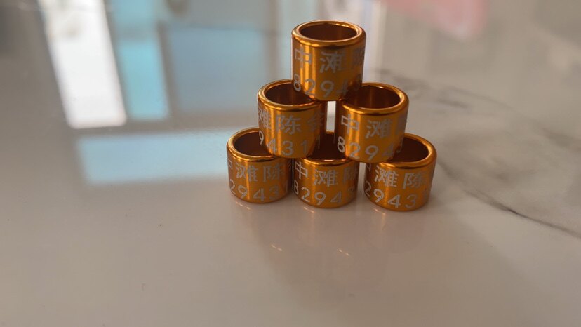 二音哨葫芦哨的LOGO