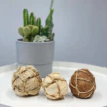 Cat-time-three-rabbit dragon cat-geranium-Dutch pig grass jersey-made toy grinding tooth stick natural snacks teasing ball