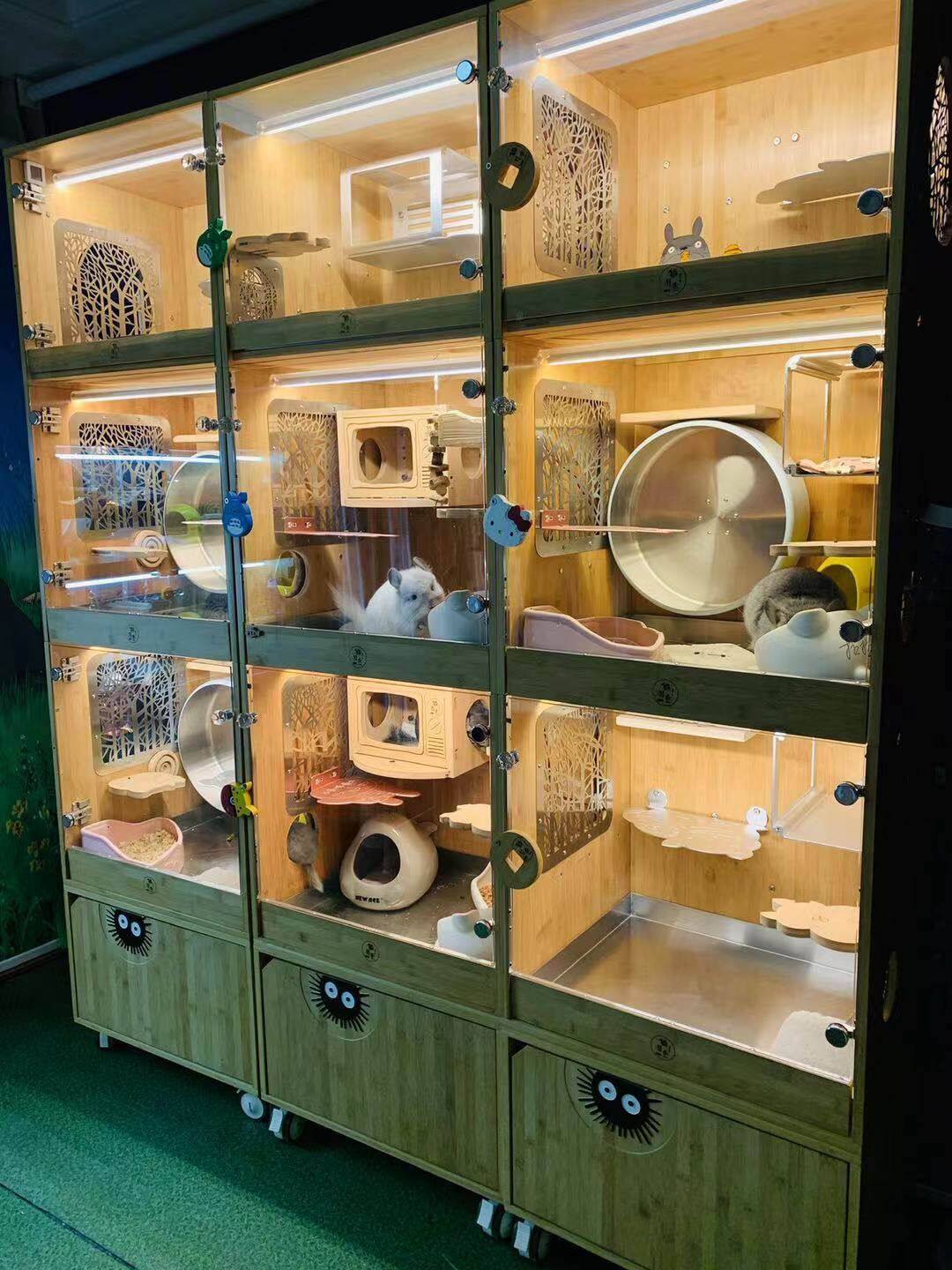 When the cat is involved in the second-hand dragon cat cabinet cage