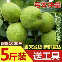 2021 this year pick with green skin walnut fresh raw 5kg green skin to green leather fresh walnut thin bulk 3