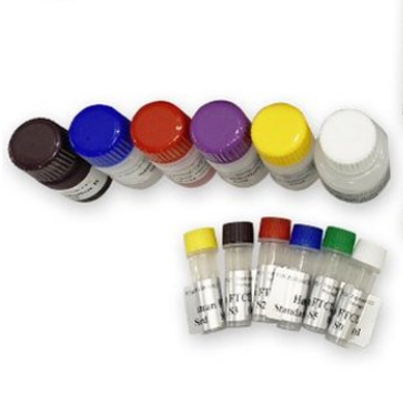 预染色蛋白Marker 10kDa~250kDa  仅供科研实验 博亿生物