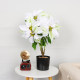 Artificial Flowers, Fake Flowers, Christmas Flowers, Poinsettias, Amazon High-End Everlasting Flowers, Potted Plants, Scene Arrangement, Decorative Flowers