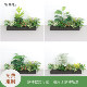 Simulated Green Plants, Flower Troughs, Flower Boxes, Fake Plant Combinations, Heat-Insulating Bionic Flowers and Plants, Indoor and Outdoor Landscape Decoration