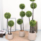 Simulated Green Plant Milan Tree Indoor Artificial Plant High-End Fake Tree Floor-Standing Potted Plant Decorative Atmosphere Tree Ornament