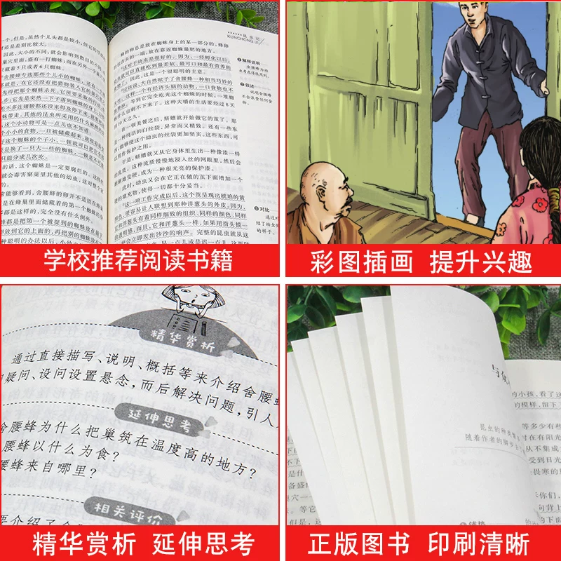 Чтение для мальчиков и девочек школьников, для средней школы, 10-11-12-13-14-15 лет